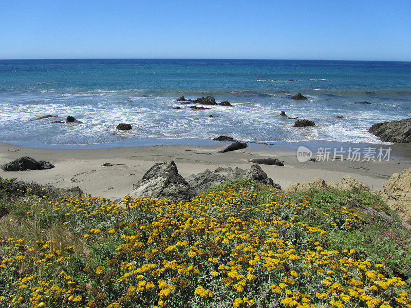 大Sur - California海岸景色